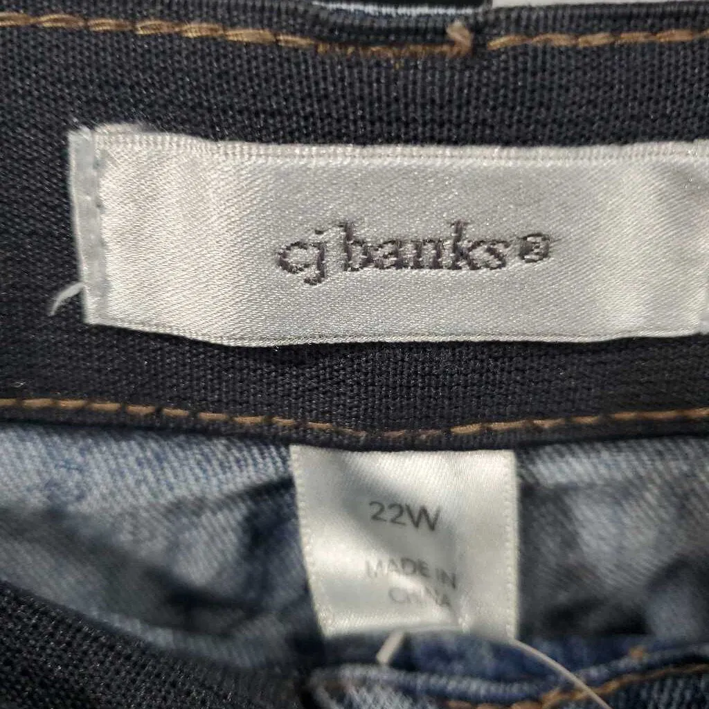 CJ Banks Jeans 22W