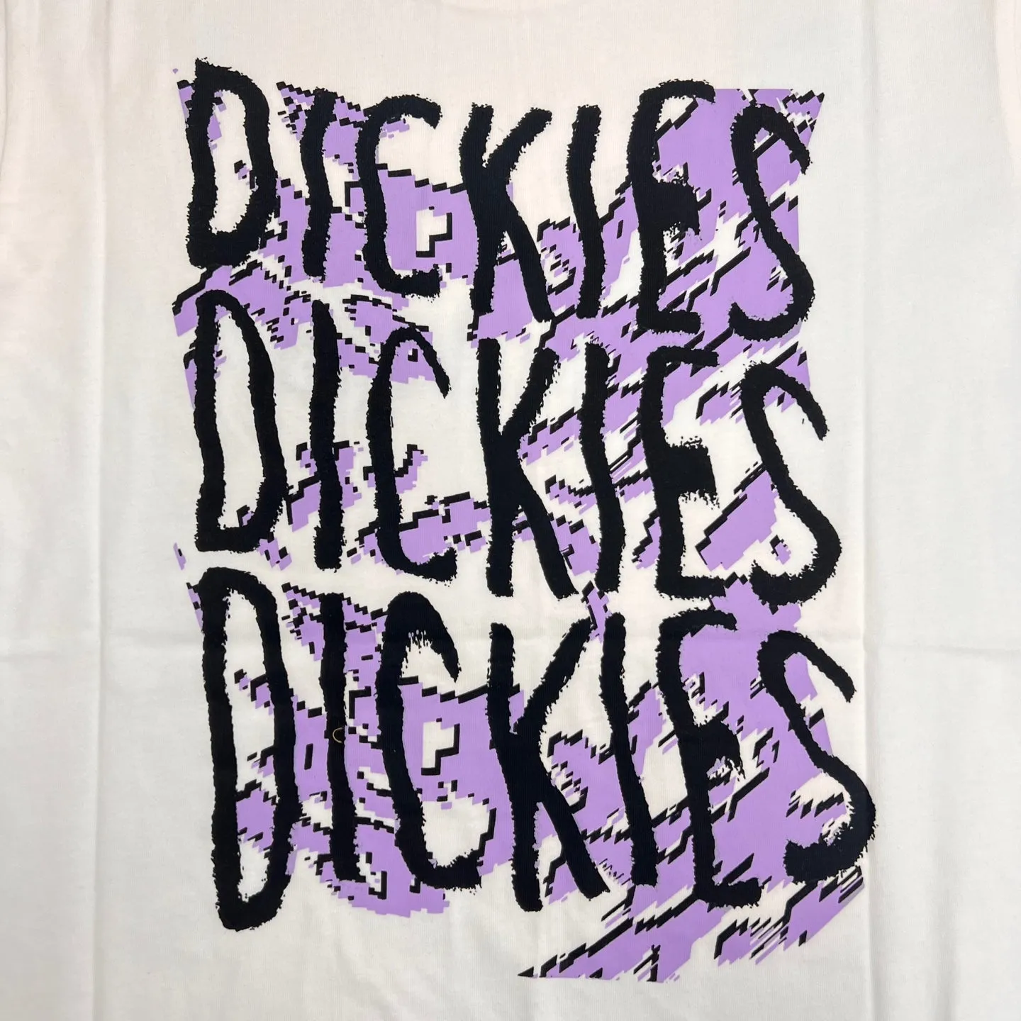 Dickies Cresswell Logo Graphic T-Shirt