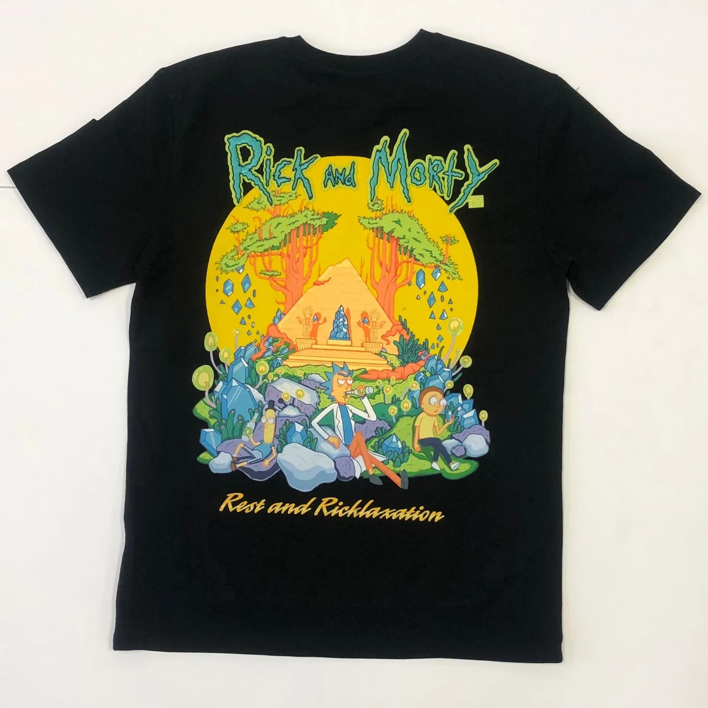 FREEZEMAX X RICK AND MORTY Men Graphic T-shirt