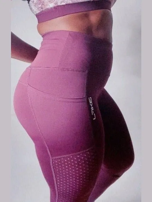 Highwaist Plum Leggings W/ Mesh Panels