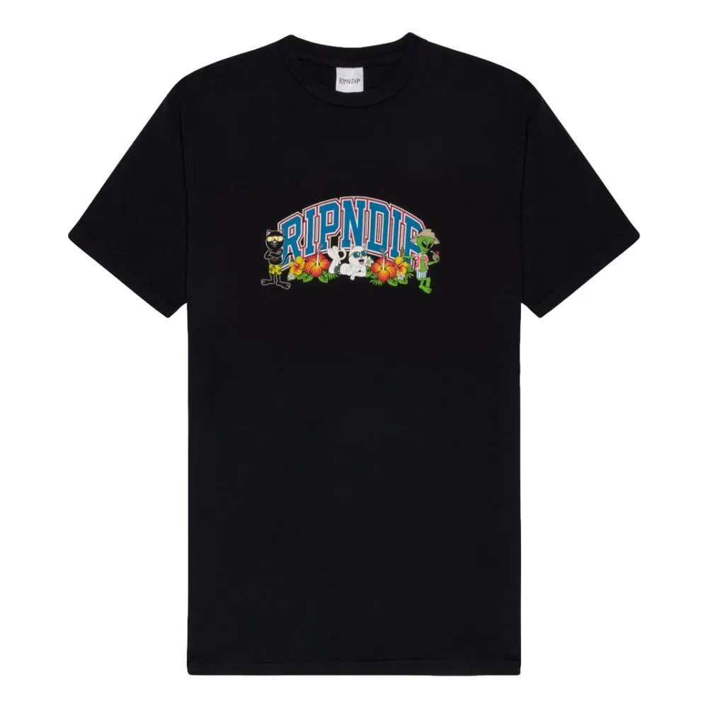 RIPNDIP SUMMER FRIENDS TEE-BLACK